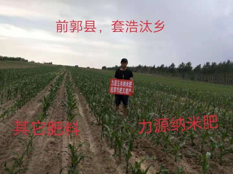 &#112;&#112;&#30005;&#23376;&#40;&#20013;&#22269;&#21306;&#41;&#23448;&#26041;&#32593;&#31449;